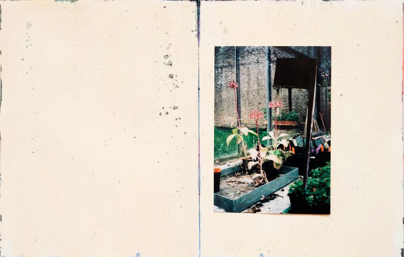 © Johanna Ruebel - Image from the Some Things Missing photography project
