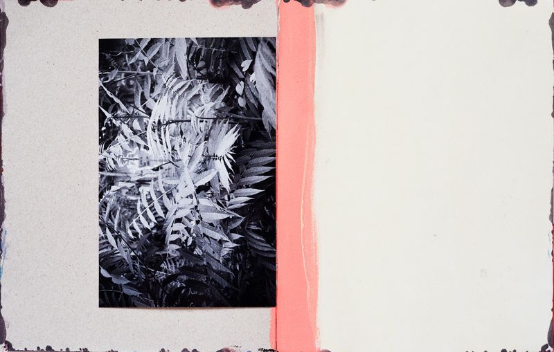 © Johanna Ruebel - Image from the Some Things Missing photography project