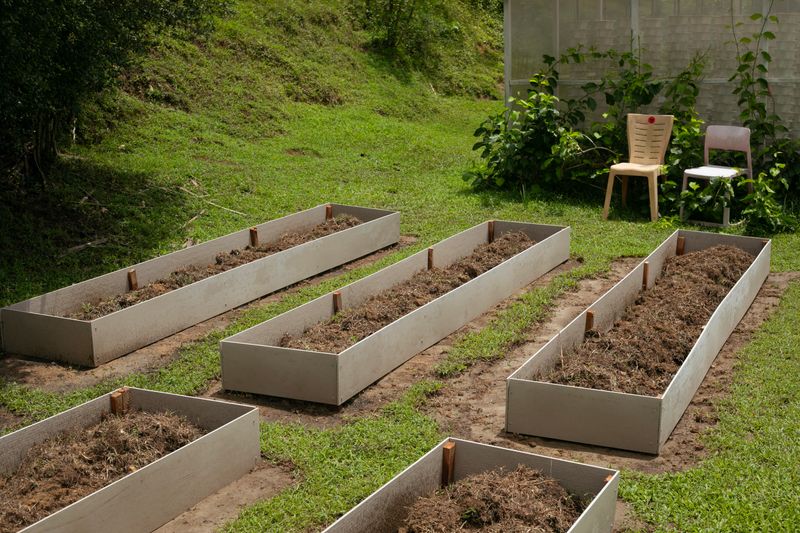 © Desiree kong - Image from the Powerlines photography project