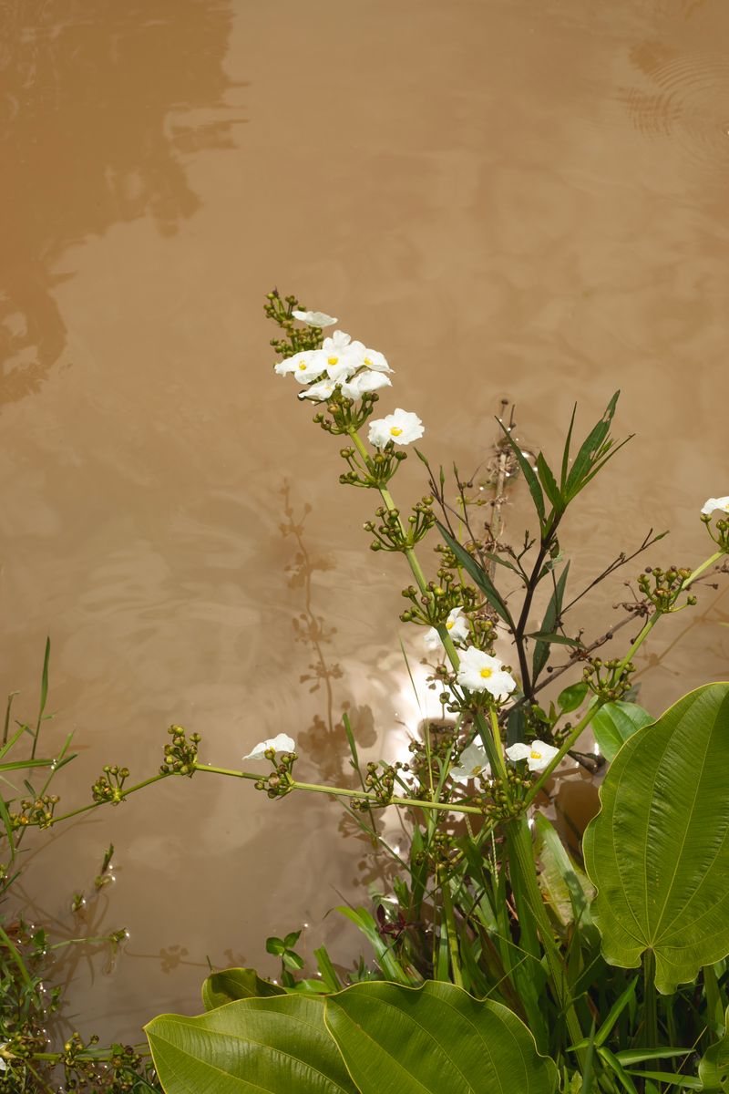 © Desiree kong - Image from the Powerlines photography project