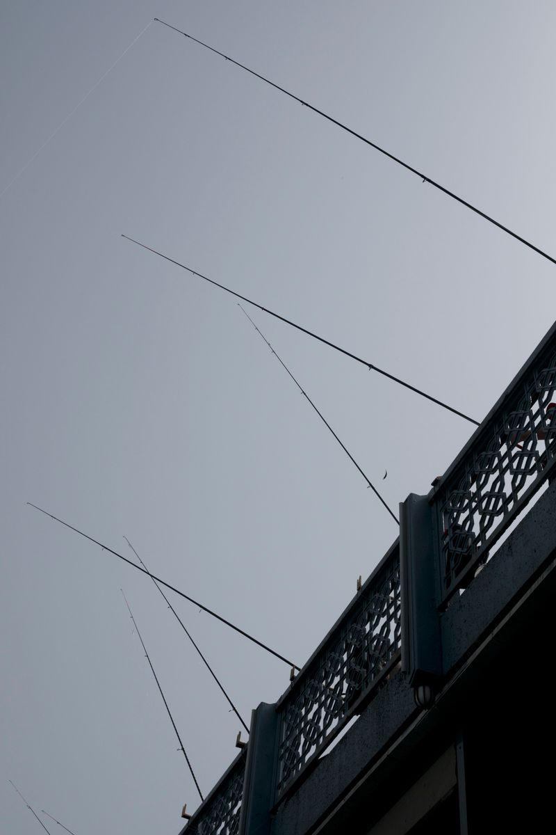 © Desiree kong - Image from the Powerlines photography project