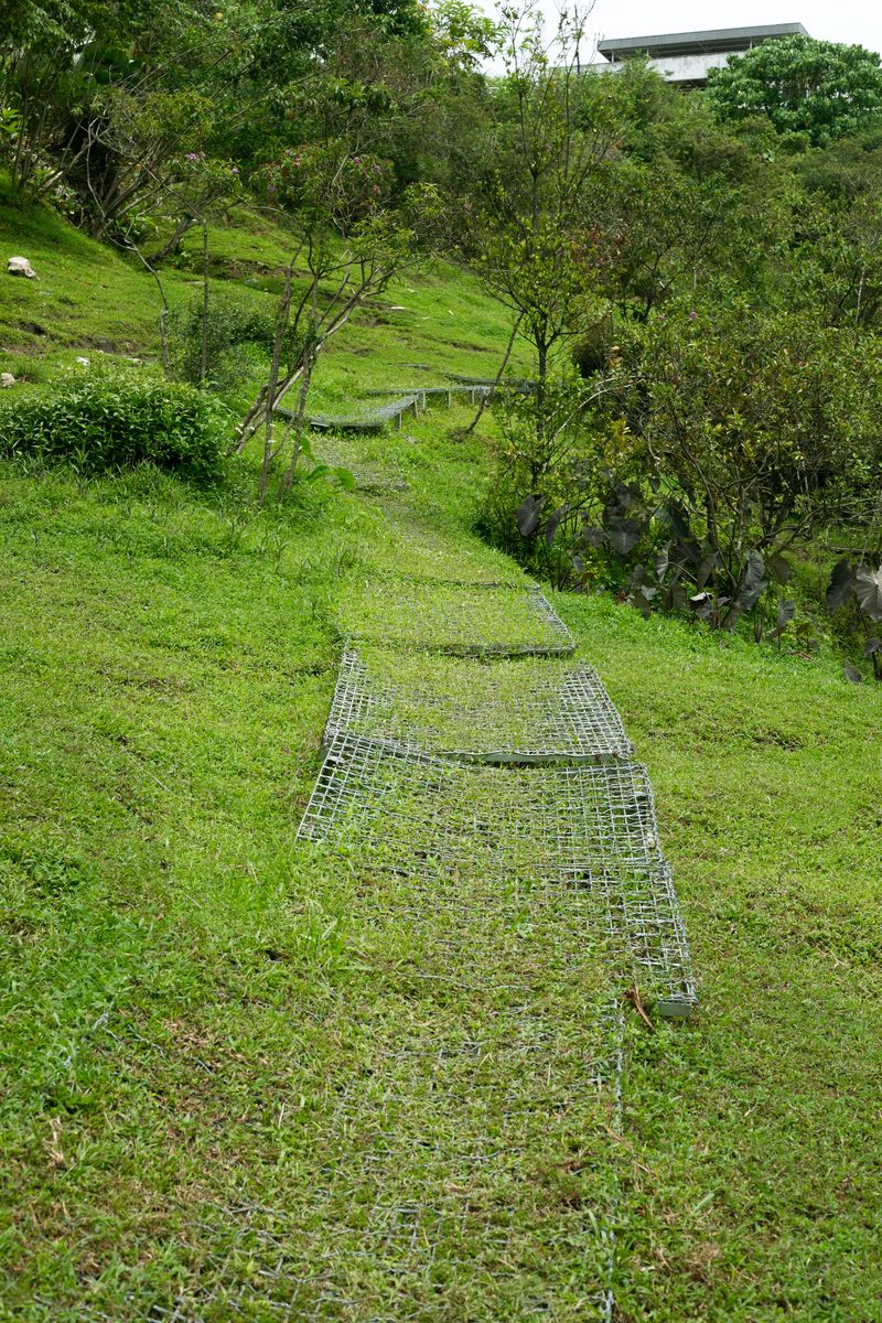 © Desiree kong - Image from the Powerlines photography project