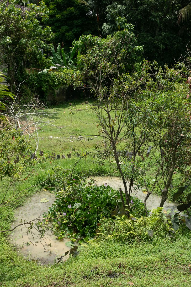 © Desiree kong - Image from the Powerlines photography project