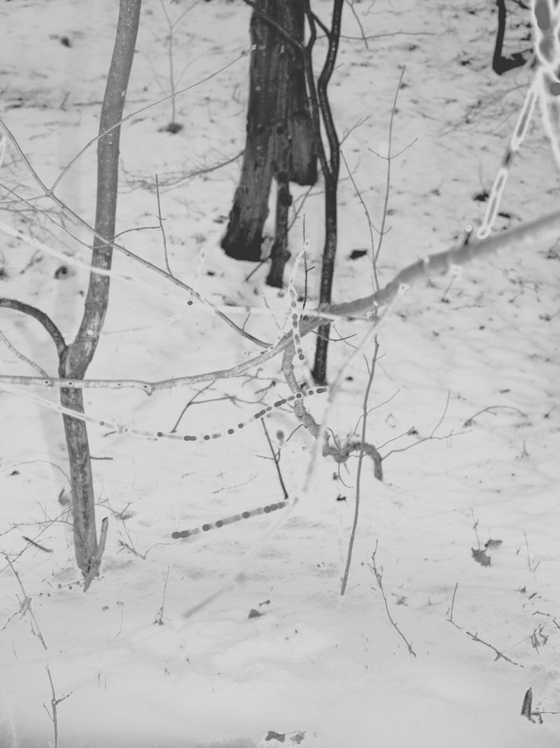 © Zhu Gaocanyue - Image from the The South Is Infinite Yet Finite photography project
