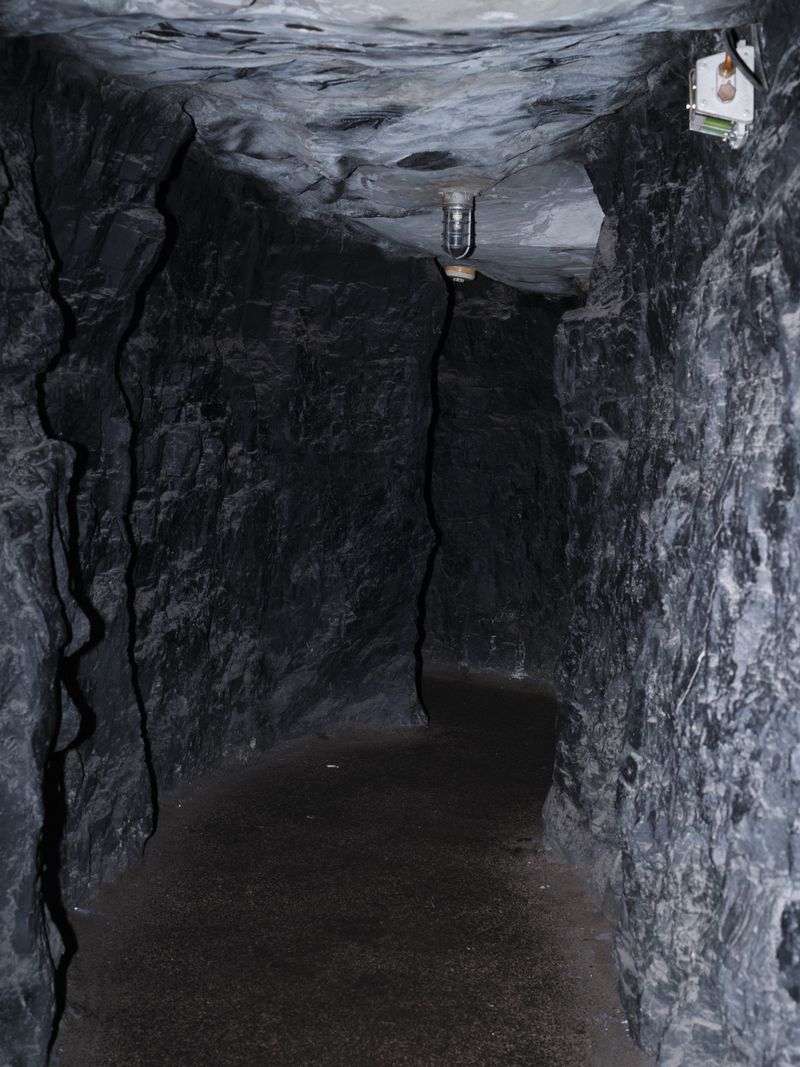 © Zhu Gaocanyue - A way out, 出路, 2024, Griffin Museum of Science and Industry, Chicago, IL