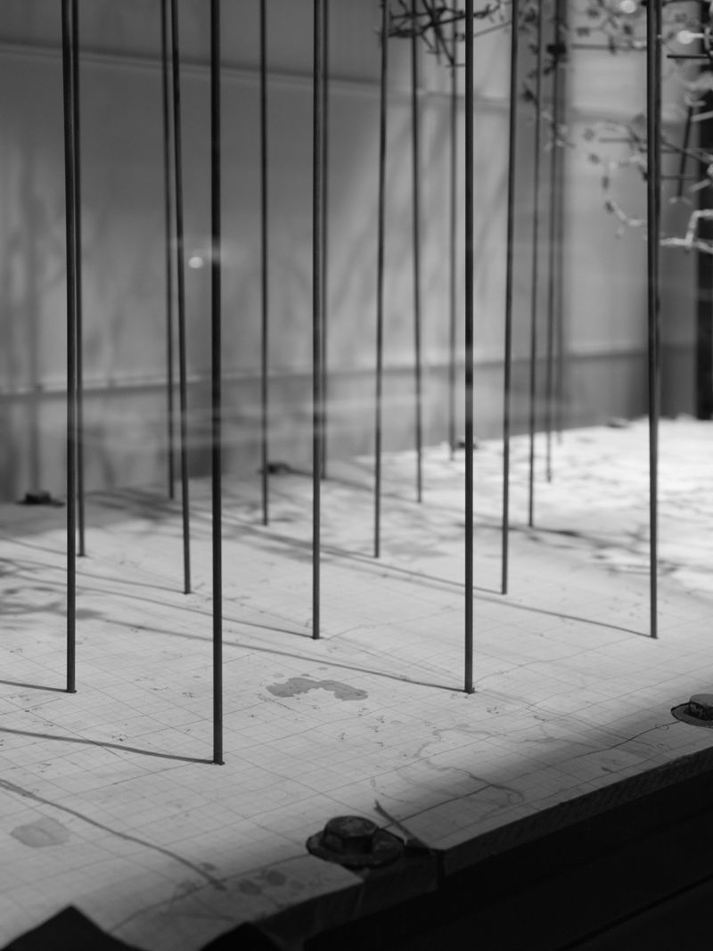 © Zhu Gaocanyue - Where we are standing, 我们身在何处, 2024, MIT Museum, Boston.