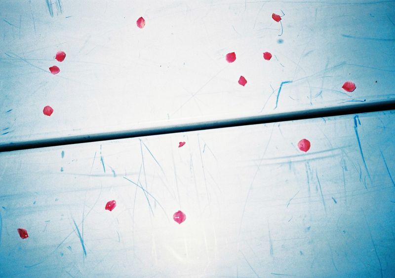 © Miki Hasegawa - Image from the internal notebook photography project