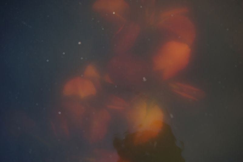 © Miki Hasegawa - Image from the internal notebook photography project