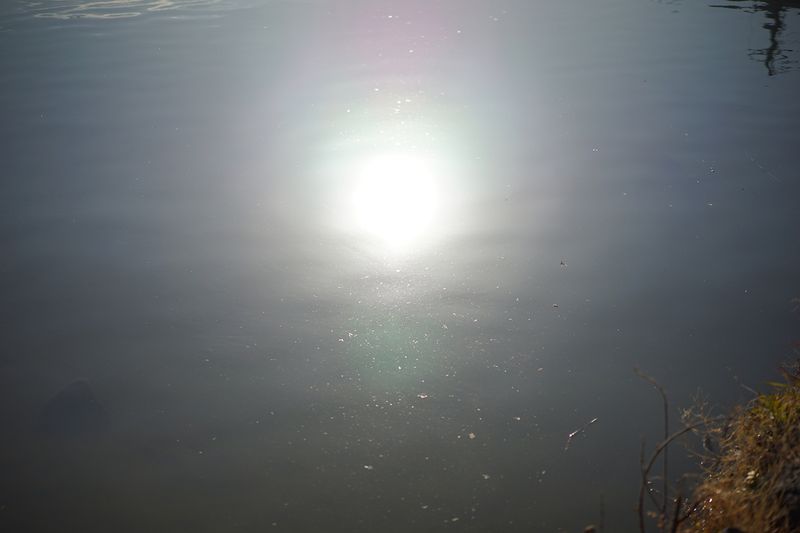 © Miki Hasegawa - Image from the internal notebook photography project