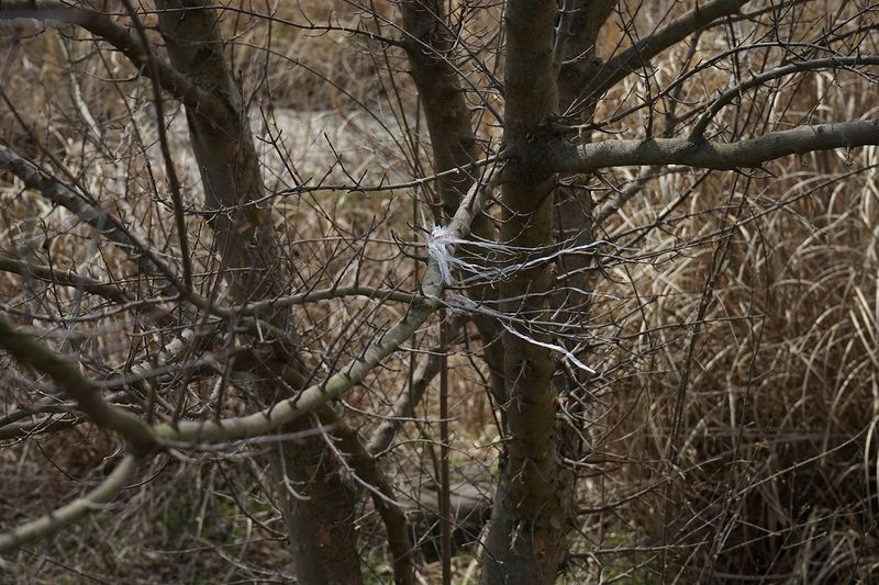 © Miki Hasegawa - Image from the internal notebook photography project