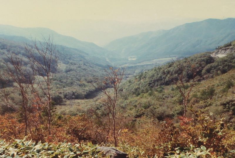 © Miki Hasegawa - Image from the internal notebook photography project