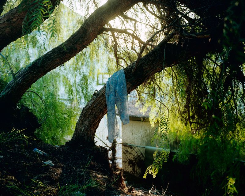 © nicolas silberfaden - Image from the 738 photography project