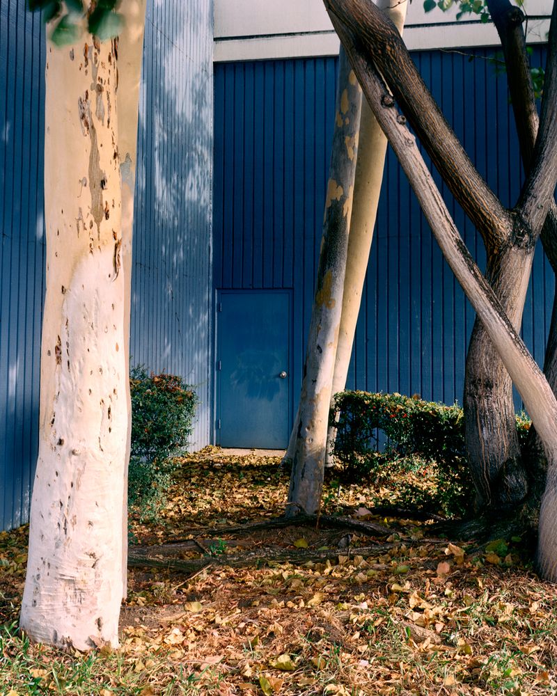 © nicolas silberfaden - Image from the 738 photography project