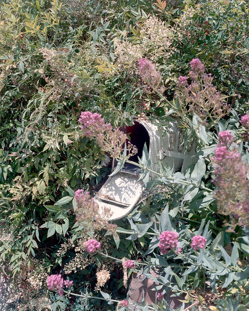 © nicolas silberfaden - Image from the 738 photography project