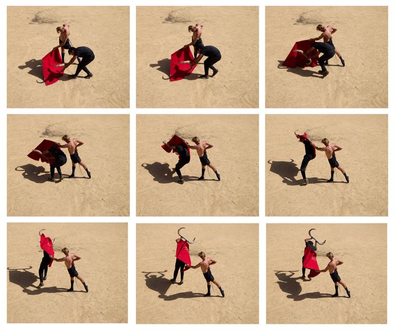 © Sophie Ebrard - The faena and chess pass