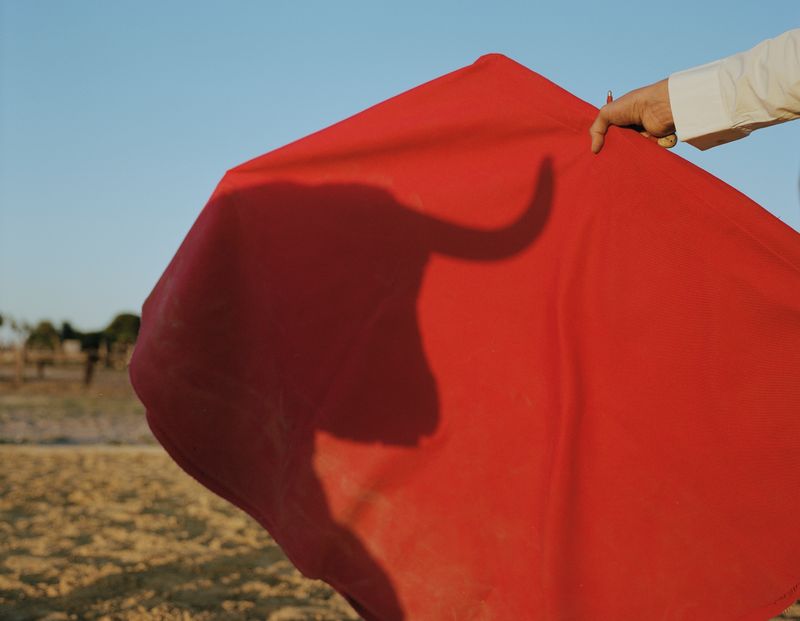 © Sophie Ebrard - The moment of truth