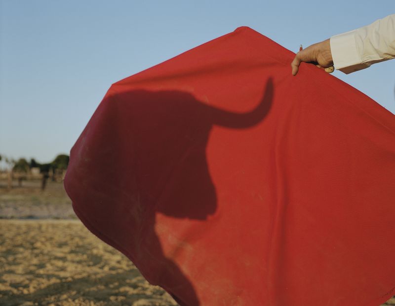 © Sophie Ebrard - The moment of truth