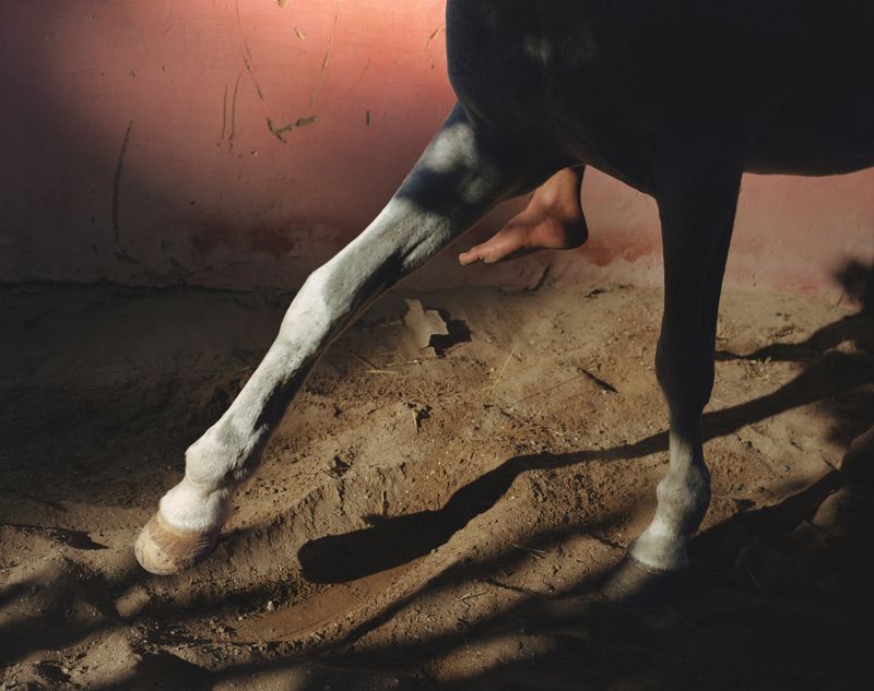 © Sophie Ebrard - Image from the They are not afraid of riding stallions photography project
