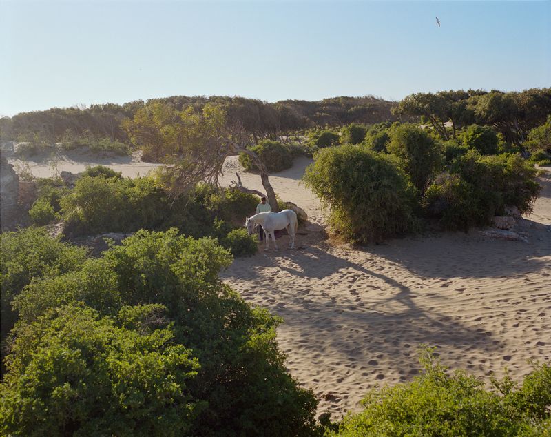 © Sophie Ebrard - Image from the They are not afraid of riding stallions photography project