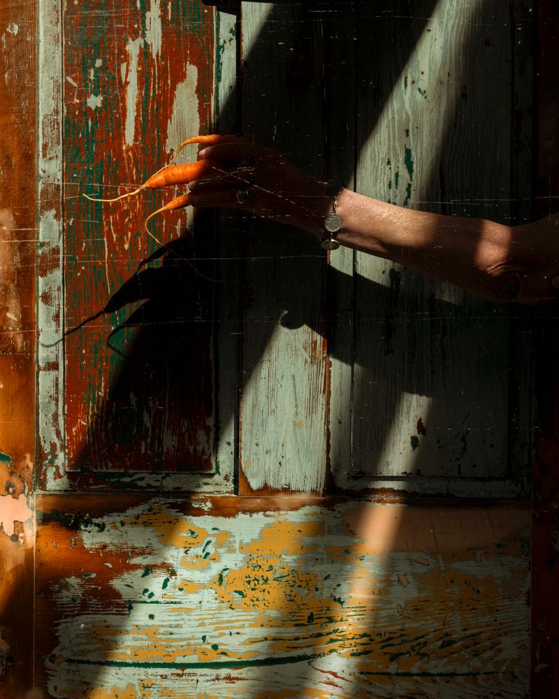 © Paul Thulin-Jimenez - Image from the Pine Tree Ballads photography project