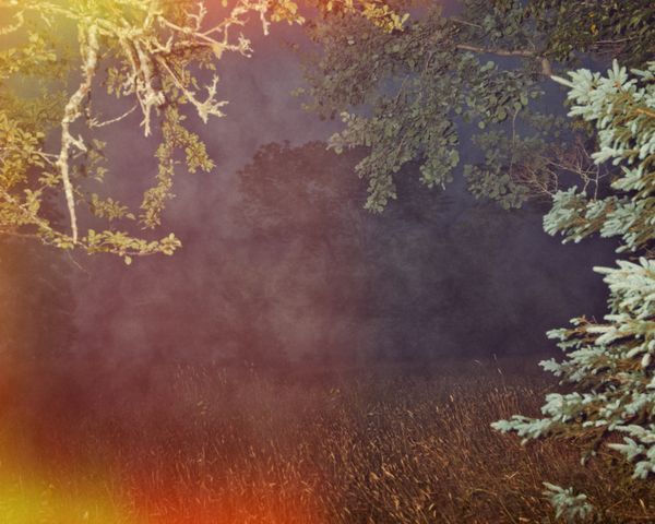 © Paul Thulin-Jimenez - Image from the Pine Tree Ballads photography project