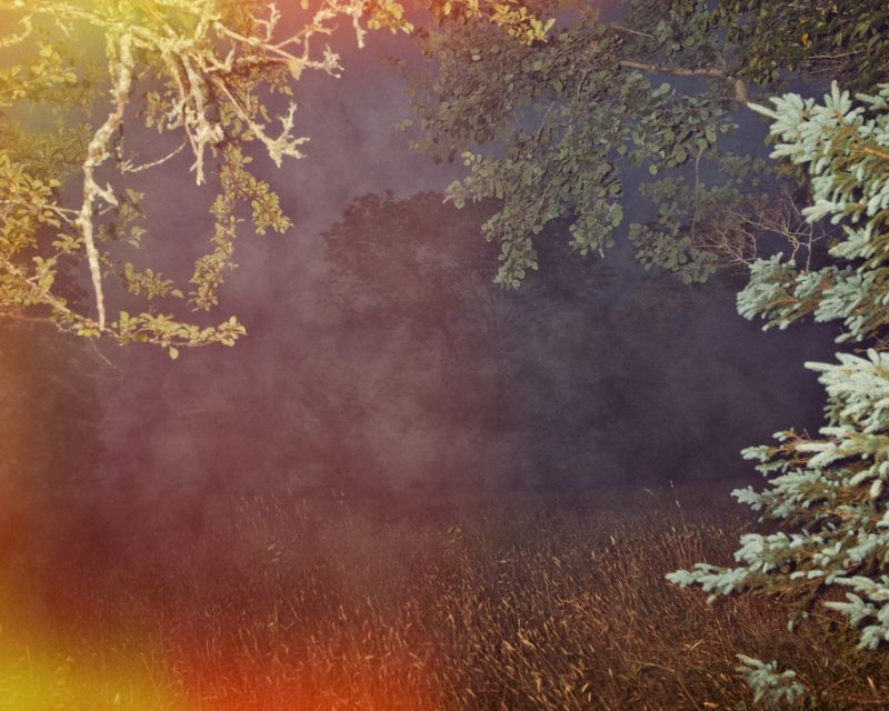 © Paul Thulin-Jimenez - Image from the Pine Tree Ballads photography project