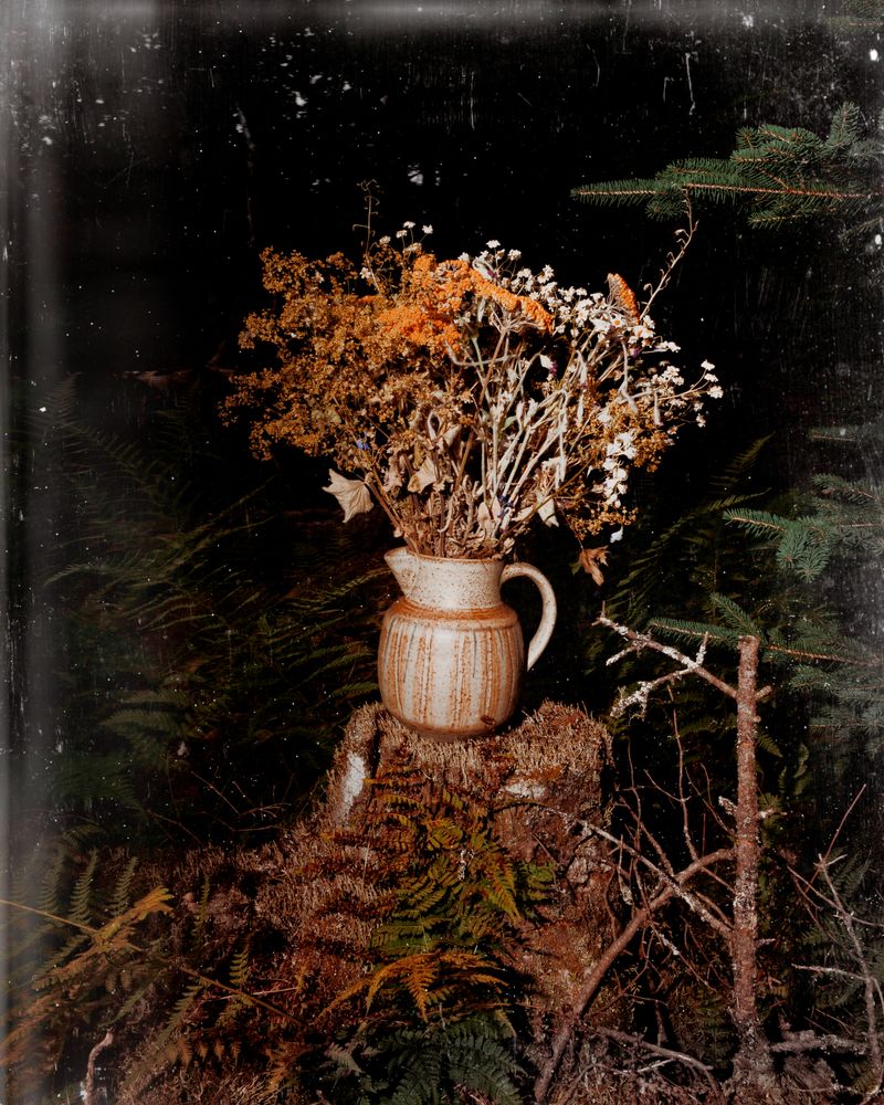 © Paul Thulin-Jimenez - Image from the Pine Tree Ballads photography project