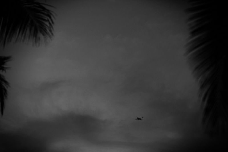 © Paul Thulin-Jimenez - Image from the Isla de las Palmas photography project