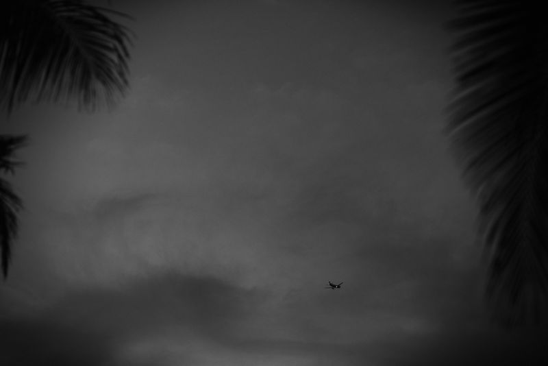 © Paul Thulin-Jimenez - Image from the Isla de las Palmas photography project