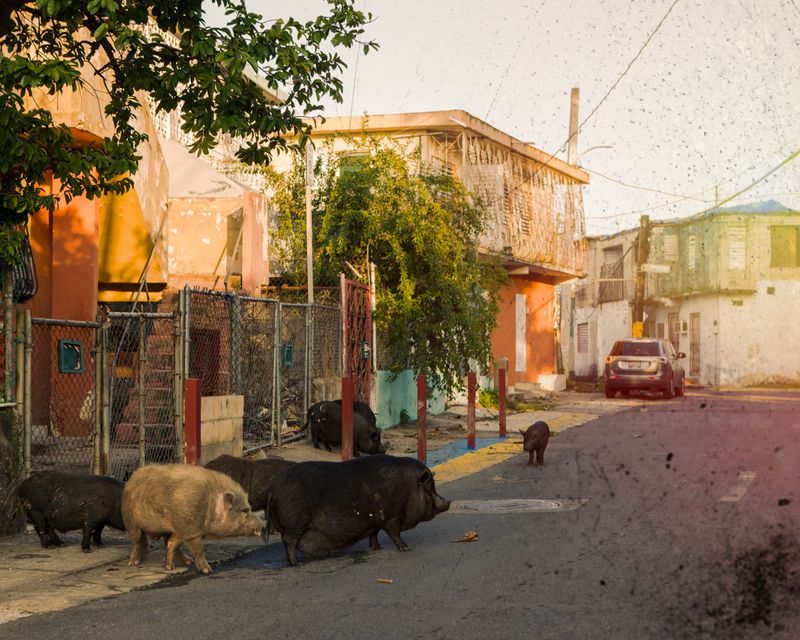 © Paul Thulin-Jimenez - Image from the Isla de las Palmas photography project