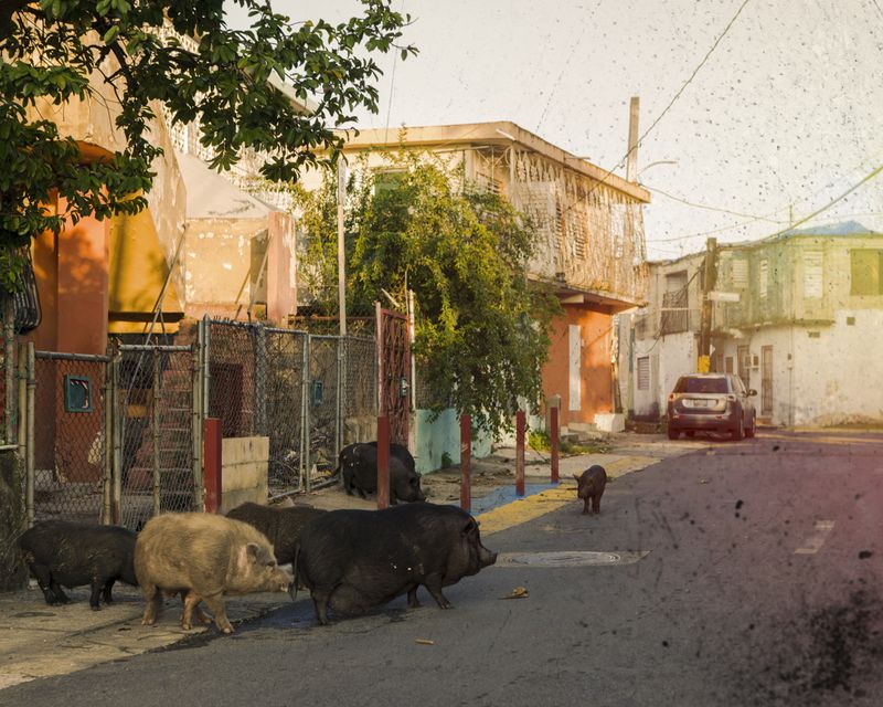 © Paul Thulin-Jimenez - Image from the Isla de las Palmas photography project