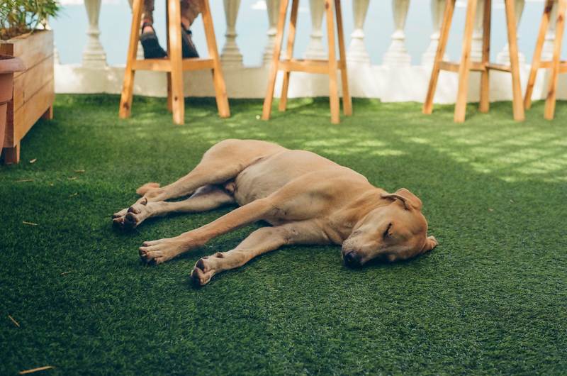 © Jennifer Cox - Image from the Vida Completa photography project