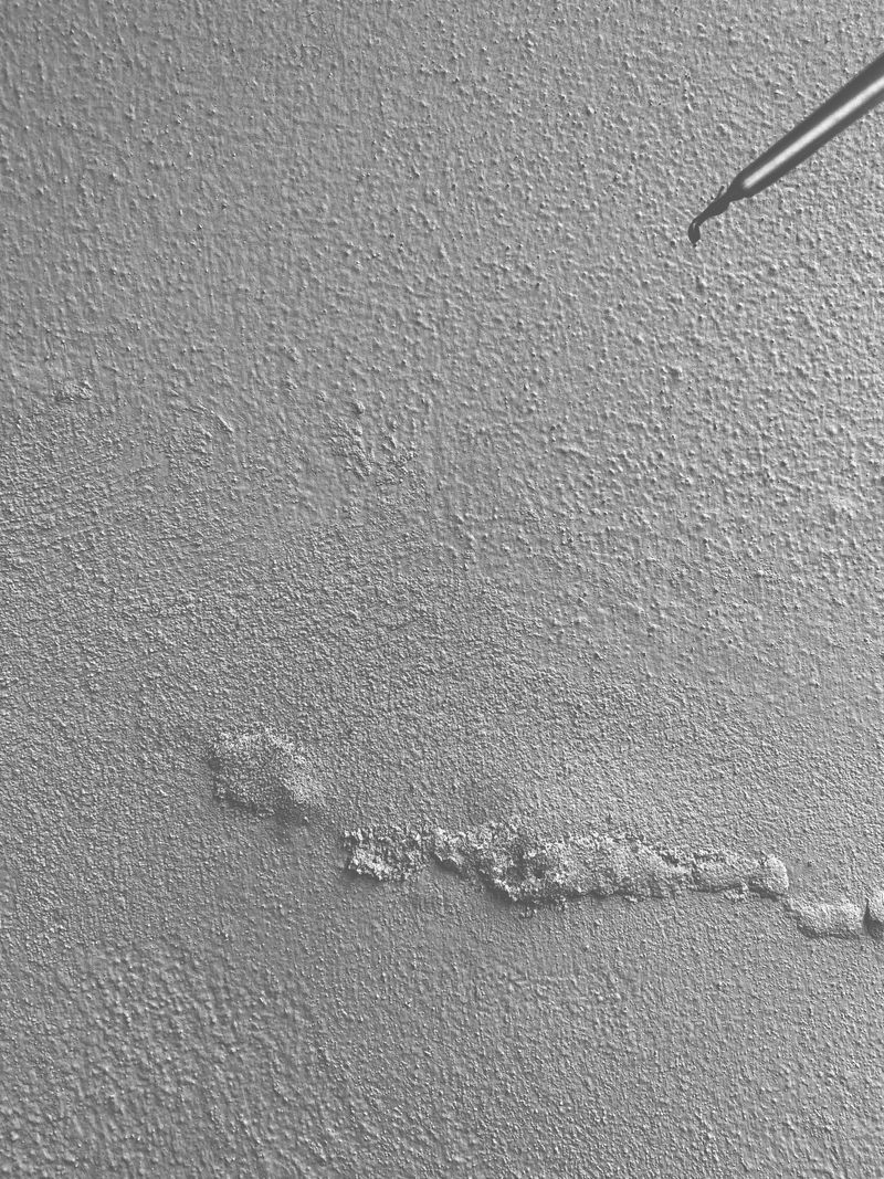 © Federico Gregorini - Image from the DEVIAZIONE photography project