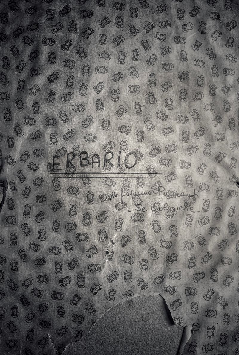 © Federico Gregorini - Image from the Herbarium - 1967 photography project