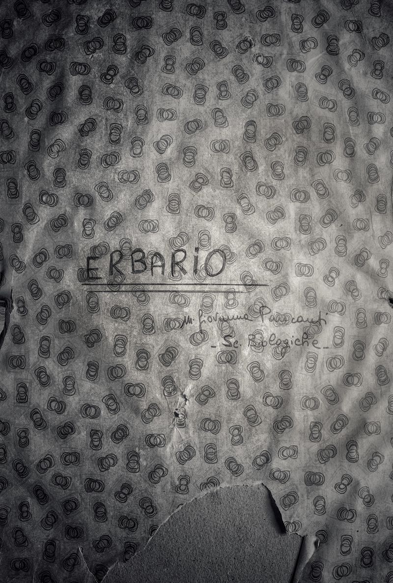 © Federico Gregorini - Image from the Herbarium - 1967 photography project