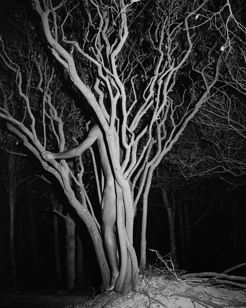 © Daniel Rampulla - Image from the Augury photography project
