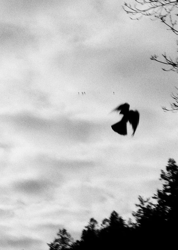 © Daniel Rampulla - Image from the Augury photography project