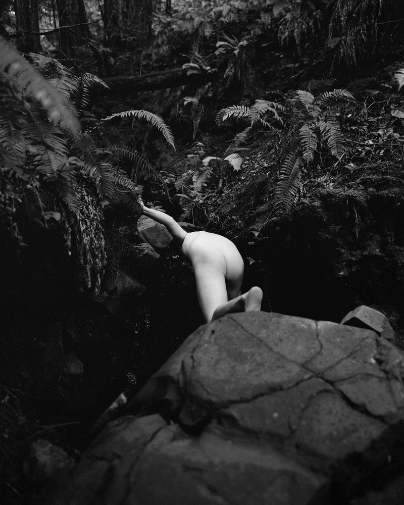 © Daniel Rampulla - Image from the Augury photography project