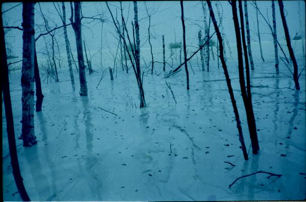 © Sara Szymańska - Image from the Who told the wind about us? photography project