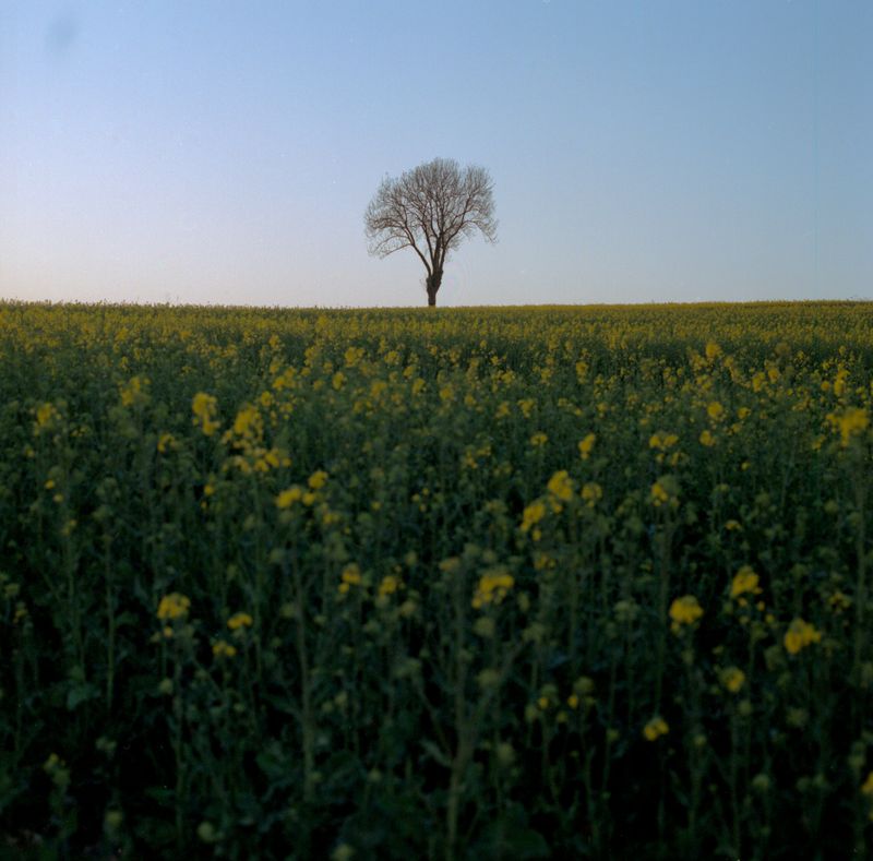 © Sara Szymańska - Image from the Who told the wind about us? photography project