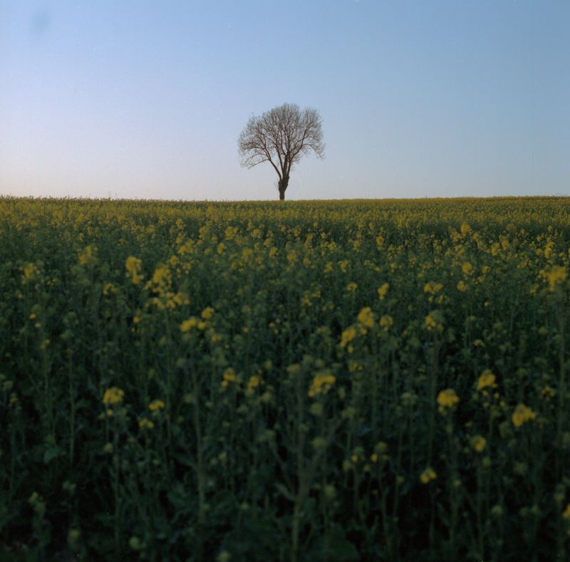 © Sara Szymańska - Image from the Who told the wind about us? photography project