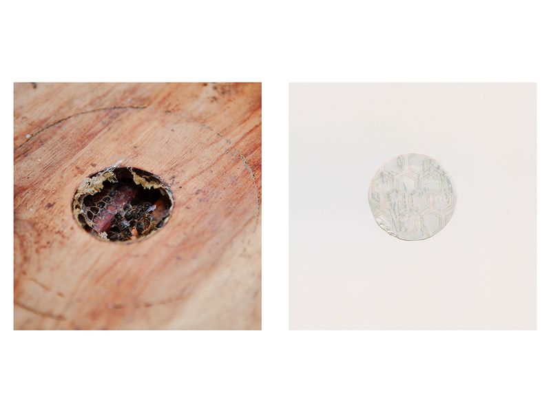 © Fiona Filipidis - Image from the To make a prairie photography project