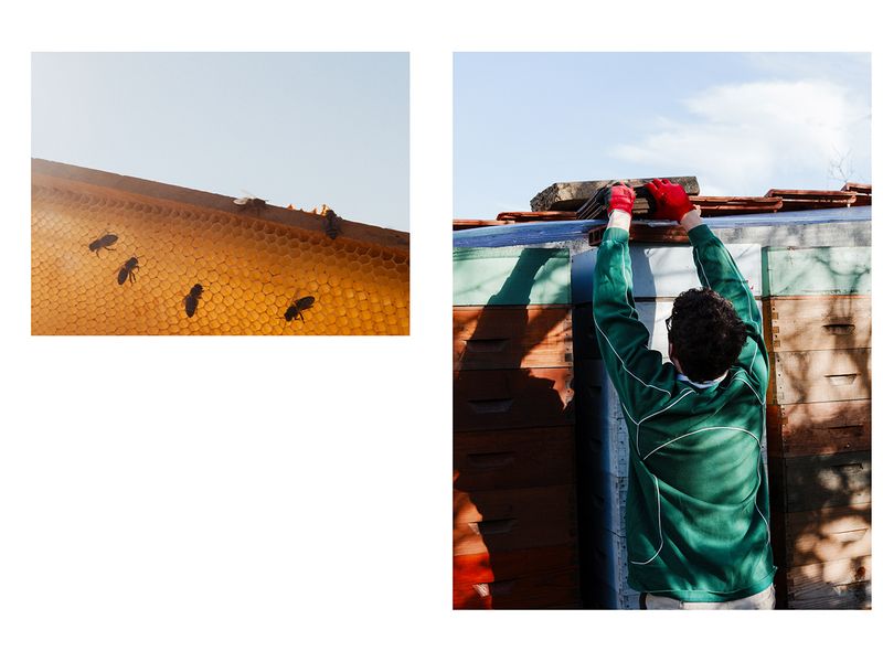 © Fiona Filipidis - Image from the To make a prairie photography project