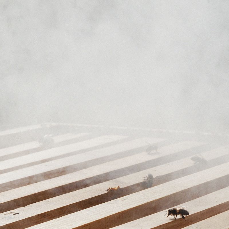 © Fiona Filipidis - Image from the To make a prairie photography project