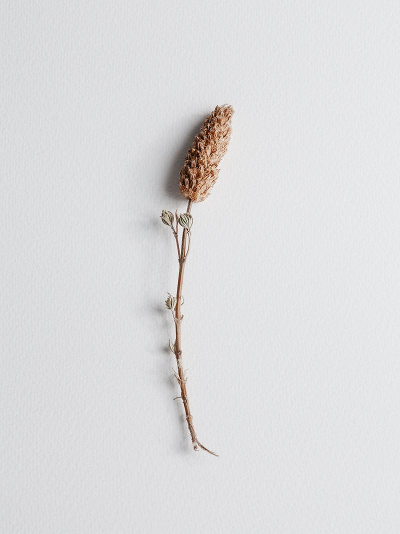 © Fiona Filipidis - Image from the To make a prairie photography project