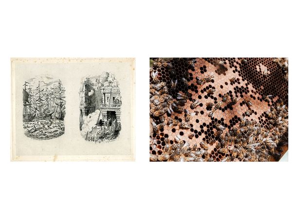 © Fiona Filipidis - Image from the To make a prairie photography project