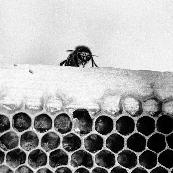 © Fiona Filipidis - Image from the To make a prairie photography project