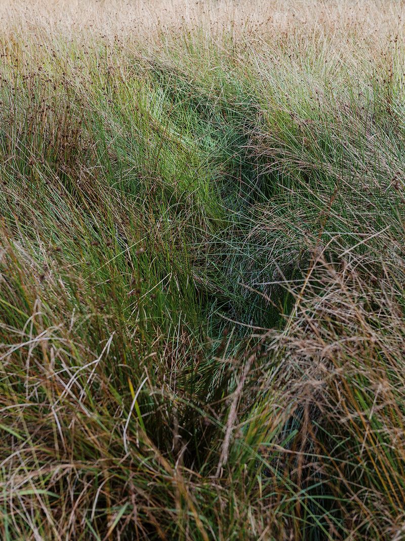 © Fiona Filipidis - Image from the To make a prairie photography project