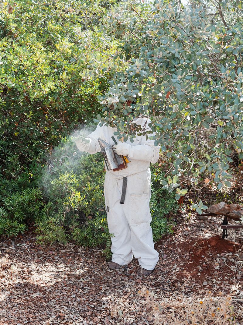 © Fiona Filipidis - Image from the To make a prairie photography project