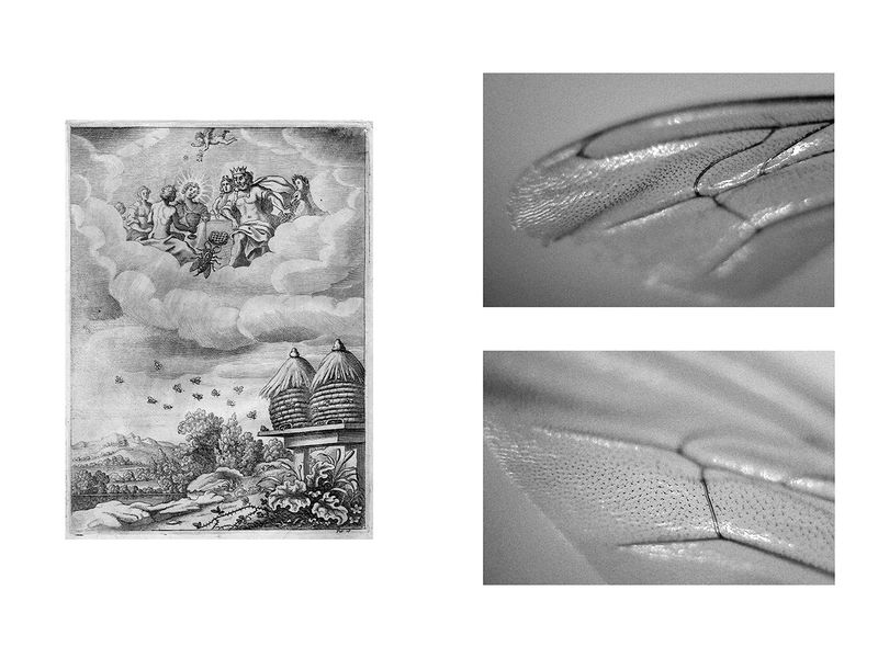 © Fiona Filipidis - Image from the To make a prairie photography project
